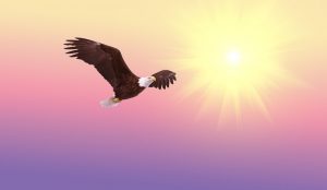 truth liberates